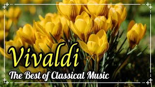 🎍Vivaldi The Four Seasons quotSpringquot  I Allegro [upl. by Ethben896]