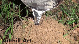 Casting Another Fire Ant Colony with Molten Aluminum Cast 061 [upl. by Ardyce349]