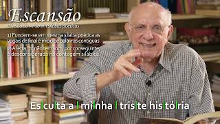 Aula 154 – Versificação A Arte de Fazer Versos [upl. by Russel]