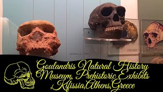 Time Travelers Delight⏳Explore Prehistoric Exhibits at Goulandris MuseumAttica🕰️🏛️ [upl. by Araf]