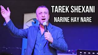 Tarek Shexani  Narine hay Nare  طارق شيخاني  ناريني هەي نارێ [upl. by Dahc]