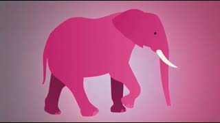 LA PARADOJA DEL ELEFANTE ROSA [upl. by Prasad]