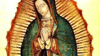 Himno Guadalupano  Virgen de Guadalupe [upl. by Yesrod]