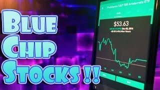 Robinhood APP  BLUE CHIP STOCKS  SAFETY and GROWTH [upl. by Selina]