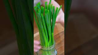 How to Keep Scallions Green and Fresh for a Month in the Fridge [upl. by Iphlgenia]