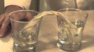 Capillary Action Experiment [upl. by Adlesirhc]