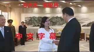 朝鲜CCTV纪录片：金正恩亲自指导排练的朝鲜友好艺术代表团访问中国—2019年1月2331日，2月1日播出 [upl. by Anelaf]