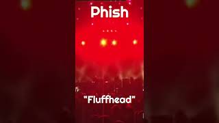 Phish  quotFluffheadquot 122997  Madison Square Garden  New York NY phish jamband livemusic [upl. by Oynotna]