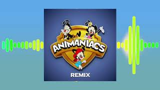 ANIMANIACS THEME SONG OFFICIAL REMIX  BEST VERSION EVER [upl. by Naor]