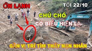 ỚN LẠNH CHÚ CHÓ CÓ BIỂU HIỆN LẠ GẦN VỊ TRÍ TÌM THẤY NẠN NHÂN HÔM TRƯỚC [upl. by Eanel]