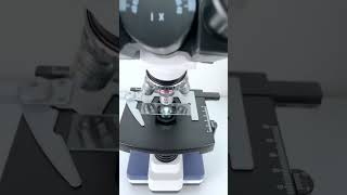 Cat saliva at 400X magnification is seriously so coolfyp funnyvideos microscope funny [upl. by Fidelis347]