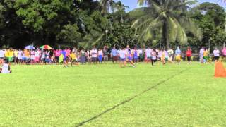 vaiola senior girls 2014 relay [upl. by Lundin417]