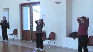 Exemple dune séance gym avec seniors Physical Fitness [upl. by Ydac227]