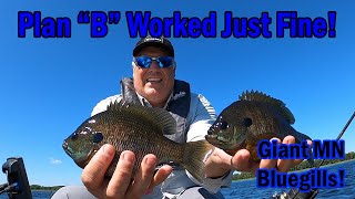 Always Have a Back Up Plan in Fishing Giant Minnesota Bluegills [upl. by Nave]