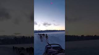 Lapland Finland a winter wonderland facts travel world history youtubeshorts shorts finland [upl. by Zetnom]