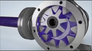 Internal Gear Pump [upl. by Bergstrom]