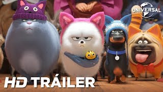 MASCOTAS 2  Tráiler Mundial Universal Pictures  HD [upl. by Benito386]