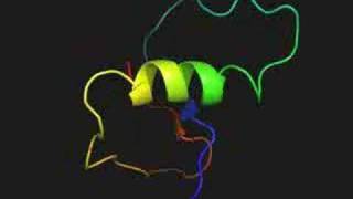 Protein folding simulation from denatured to native state [upl. by Laird649]