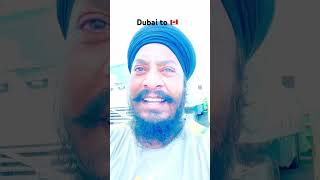 Dubai to Canada 🇨🇦 Driver Department Dubai🇦🇪DriverDeportment youtubeshorts [upl. by Seugirdor]