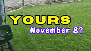 How To Have A Beautiful November Lawn  Delay Dormancy [upl. by Fesuoy427]