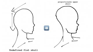 High cranial top and round back of head ⚠️ [upl. by Corrianne]