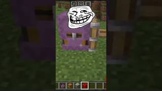 Minecraft Tik Tok life hack trending viralshort [upl. by Jeri899]