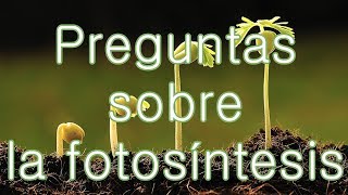 Preguntas Sobre La Fotosíntesis Con Respuestas  La Nutrición De Las Plantas [upl. by Anyg648]