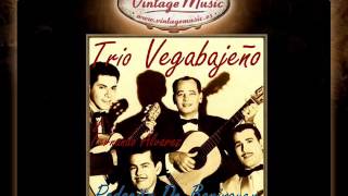 Trio Vegabajeño Y Fernando Álvarez  Pedacito de Borinquen VintageMusices [upl. by Yzeerb]