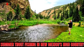 Summer Trout Fishing in the New Mexico High Country [upl. by Eiramllij]