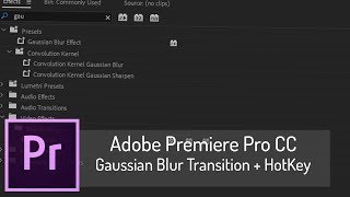 Gaussian Blur Transition and HotKey  Adobe Premiere Pro CC [upl. by Esmaria892]