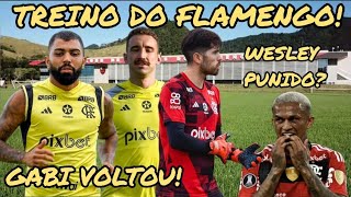 GABIGOL VOLTA AOS TREINOS DO FLAMENGO WESLEY SERÁ PUNIDO FABRÍCIO BRUNO NA SELEÇÃO AGENDA DO FLA [upl. by Clayborne802]