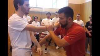 SiFu Chris Collins Teaches Correct Gan Sau Applications [upl. by Lexie]