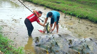 Journey together to try to pay off debt Harvesting a bumper fish pondFaith in taking back the farm [upl. by Joyce409]