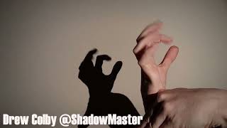 Woodpecker Hand Shadow Tutorial [upl. by Byrn692]