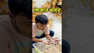 পোকামাকড় চাষের মাধ্যমে বেকারত্ব কমানো সম্ভব insects pets ornofpets [upl. by Richma]