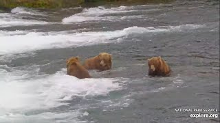 164 230 and 903 Hang Out by the Jacuzzi  August 21 2024 exploreorg [upl. by Nigem]