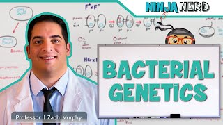 Bacterial Genetics [upl. by Phelgen]