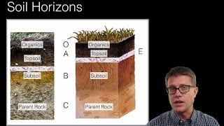 Soil and Soil Dynamics [upl. by Buzz946]