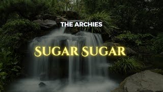 The Archies  Sugar Sugar Lyrics [upl. by Eerdna]