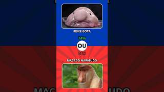 PEIXE GOTA ou MACACO NARIGUDO EP184 shorts quiz enquete [upl. by Aihpled585]