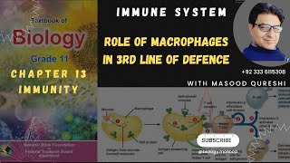 Role of Macrophages in Immune System  3rd Line of Defence  Biology Grade 11 Urdu Hindi English [upl. by Cosma]