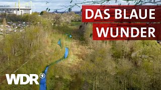 Die Emscher – Von der Kloake zum Naturparadies  Heimatflimmern  WDR [upl. by Repsaj]