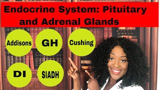 Endocrine System Adrenal and Pituitary Glands [upl. by Enrahs424]