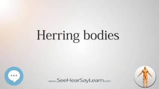 Herring bodies Anatomy Named After People 🔊 [upl. by Uria]