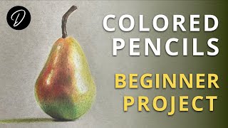 COLOURED PENCILS  Lesson amp Project for Beginners [upl. by Anwahsed]