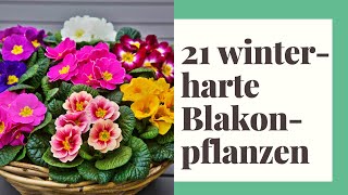 21 winterharte Pflanzen für den Balkon [upl. by Llain209]