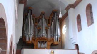 SaintSaens Improvisation Nr7 [upl. by Eintrok134]