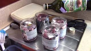 Healthy Food Preparation  Small sea fish canning [upl. by Eelsew]