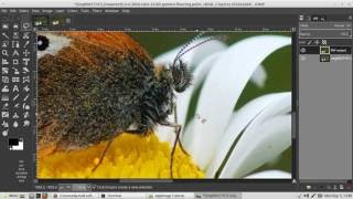 GIMP 295 AppImage  PhotoFlow plugin tutorial v2 [upl. by Nadia701]