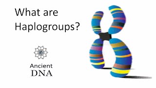 What are Haplogroups [upl. by Papke]